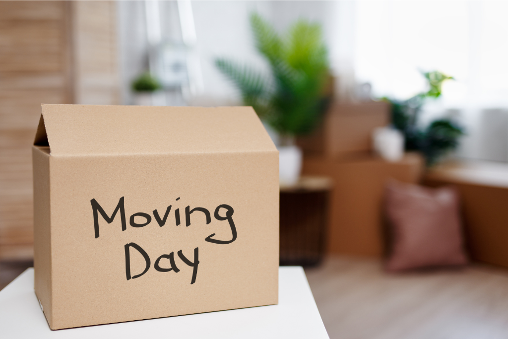 Moving Day Packing Box Cardboard box labeled, "Moving Day" sitting on a white table with packed boxes and plants in the background.