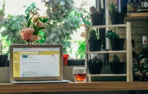 organized and productive desk with plants and a window