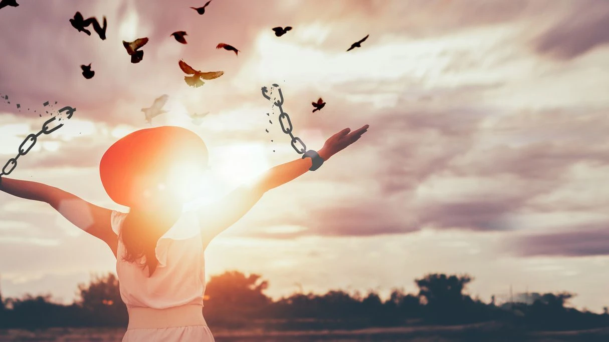 Freedom, Chain - Object, Breaking, Free of Charge, Bird, Change, Concepts, Recovery, New Life, Wellbeing stock photo