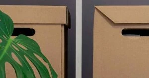 storage boxes and a plant