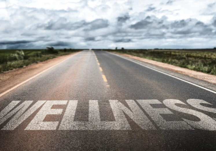 Wellness road sign