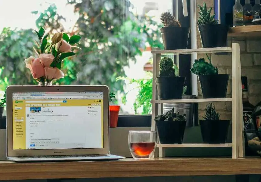 organized and productive desk with plants and a window
