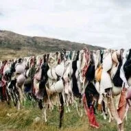 bras hanging in the wind is not an ideal closet