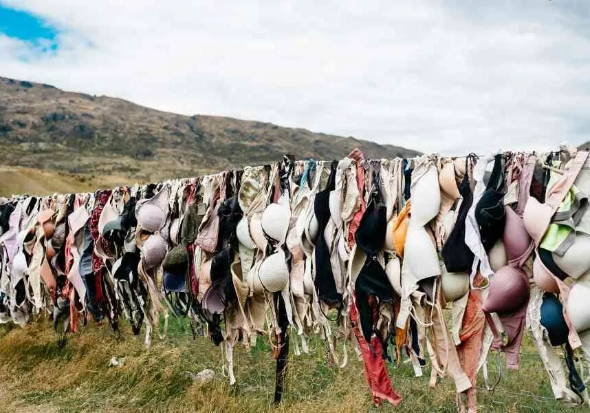 bras hanging in the wind is not an ideal closet